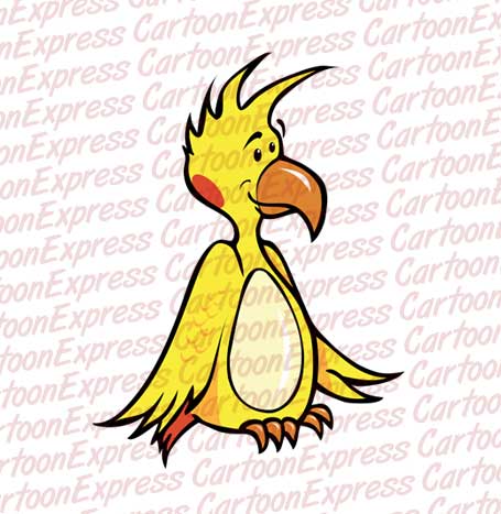parakeet